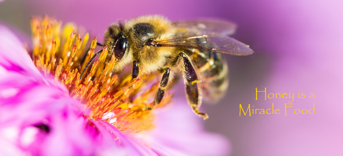 honey miracle